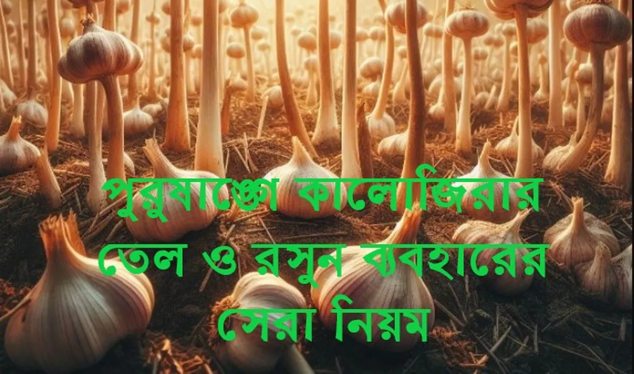 পুরুষাঙ্গে কালোজিরার তেল ও রসুন ব্যবহারের সেরা নিয়ম